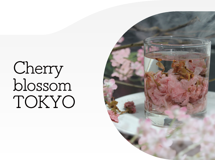 Cherry blossom TOKYO
