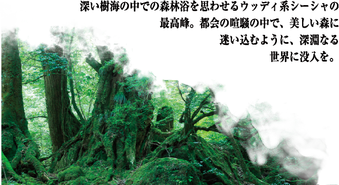 深い樹海の中での森林浴を思わせるウッディ系シーシャの最高峰。都会の喧騒の中で、美しい森に迷い込むように、深淵なる世界に没入を。